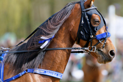 Osterrenntag Sonsbeck 2024