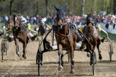 Osterrenntag Sonsbeck 2024