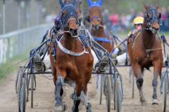 Osterrenntag Sonsbeck 2024