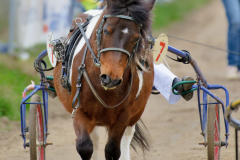Osterrenntag Sonsbeck 2024