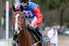 Osterrenntag Sonsbeck 2024