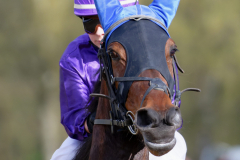 Osterrenntag Sonsbeck 2024