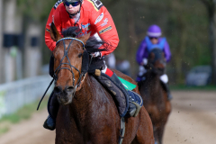 Osterrenntag Sonsbeck 2024