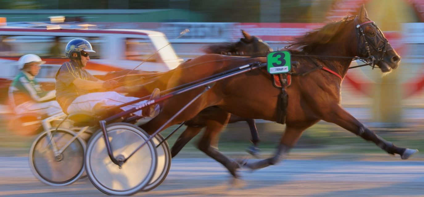 Sportfotografie mit Nikon